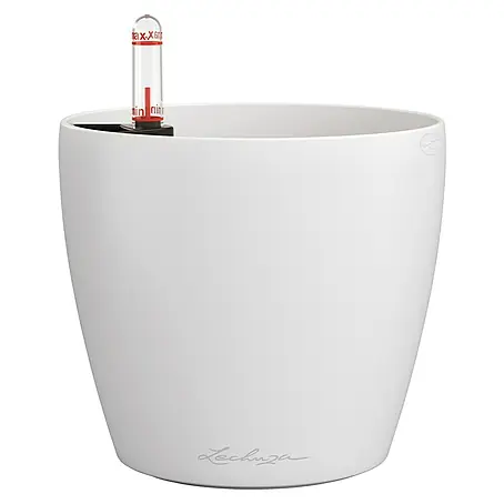Lechuza Classico Pflanztopf Color