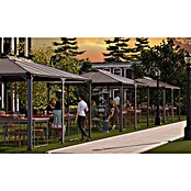 Palram Pavillon Martinique 5000 (L x B: 492 x 359 cm, Bronze)