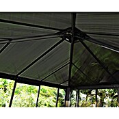 Palram Pérgola de jardín (L x An: 360 x 360 cm, Antracita, Bronce)