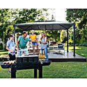 Palram Pavillon Martinique 4300 (L x B: 430 x 295 cm, Bronze)
