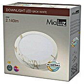 Alverlamp Foco downlight de superficie LED Mármol (20 W, Ø x Al: 22 cm x 32 mm, Blanco cálido, Temperatura del color: 3.000 K - 6.000 K) | BAUHAUS