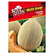 Royal Seeds Sjeme za sjetvu  (Cucumis melo L.) | BAUHAUS