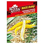 Royal Seeds Sjeme povrća  (Capsicum annum L.) | BAUHAUS