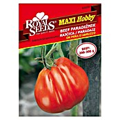 Royal Seeds Zelenjavna semena Beef Paradižnik Or Pera D'Abruzzo  (Solanum lycopersicum L.) | 8127 - Feinsämereien in PG Marke | IBYA - Sämereien | IBY - Sämereien | IB - Grünpflanzen/Sämereien | I - Stadtgarten | BAUHAUS