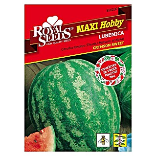 Royal Seeds Sjeme voća (Citrullus lanatus (Thunb.) Matsum. et Nakai)