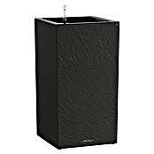 Lechuza Canto Pflanzsäule eckig Slatestone (Außenmaß (L x B x H): 30 x 30 x 56 cm, Kunststoff, Dunkelgrau) | BAUHAUS