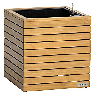 Lechuza Palo Pflanzkübel eckig Natural Wood (Außenmaß (L x B x H): 44 x 44 x 46 cm, Holz, Braun)