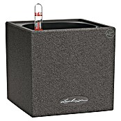 Lechuza Pflanzkübel eckig Canto Stone (Außenmaß (L x B x H): 14 x 14 x 13,5 cm, Kunststoff, Schwarz) | BAUHAUS