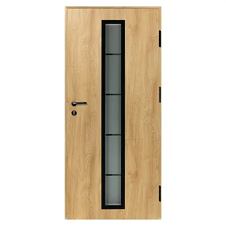 Splendoor Haustür Thermodoor PLUS SP70 Black Design