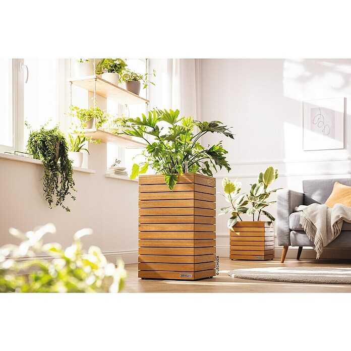 Lechuza Palo Pflanzkübel eckig Natural Wood (Außenmaß (L x B x H): 35 x 35 x 59 cm, Holz, Braun) | BAUHAUS