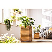 Lechuza Palo Pflanzkübel eckig Natural Wood (Außenmaß (L x B x H): 35 x 35 x 59 cm, Holz, Braun) | BAUHAUS
