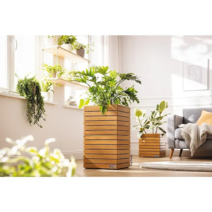 Lechuza Palo Pflanzkübel eckig Natural Wood - Außenmaß (L x B x H): 35 x 35 x 59 cm, Holz, Braun - Großer, quadratischer Holzpflanzkübel mit Lamellendesign, der eine Grünpflanze in einem hellen Raum beherbergt. Ein kleinerer passender Kübel ist im Hintergrund zu sehen.