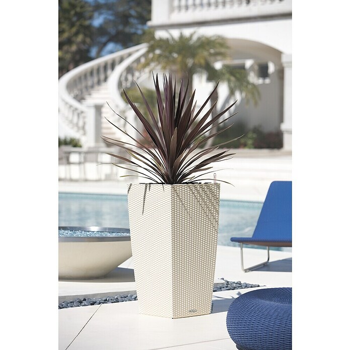 Lechuza Cottage Pflanzsäule eckig Cubico (Außenmaß (L x B x H): 30 x 30 x 56,5 cm, Kunststoff, Sandbraun) | BAUHAUS