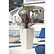 Lechuza Cottage Pflanzsäule eckig Cubico (Außenmaß (L x B x H): 30 x 30 x 56,5 cm, Kunststoff, Sandbraun) | BAUHAUS