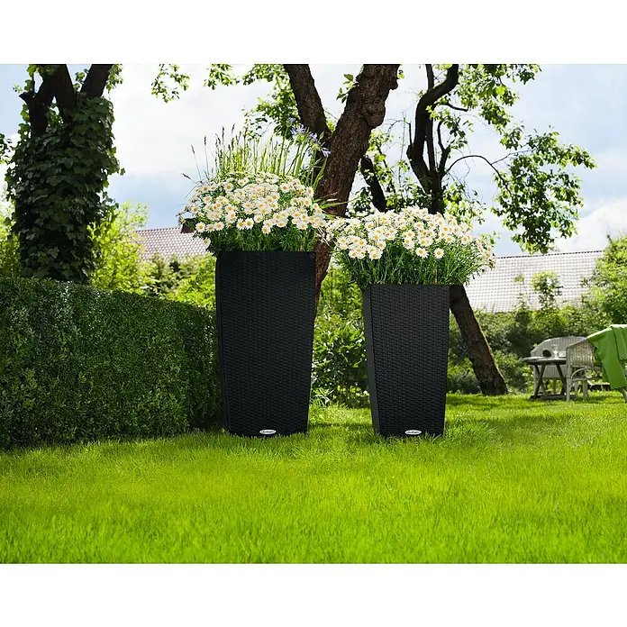 Lechuza Cottage Pflanzsäule eckig Cubico 40 - Außenmaß (L x B x H): 39,5 x 39,5 x 75,5 cm, Kunststoff, Graphit - Zwei schwarze Pflanzgefäße in Rattan-Optik mit weißen Gänseblümchen in einem Garten.