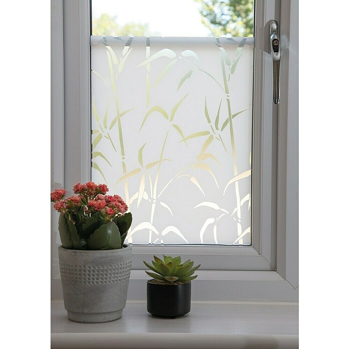 D-c-fix Static Glasfolie Static (150 x 67,5 cm, Milchglas, Bamboo, Statisch haftend)