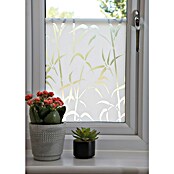 D-c-fix Static Glasfolie Static (150 x 67,5 cm, Milchglas, Bamboo, Statisch haftend)