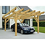 Carport Abies (Pultdach, Carport geeignet für: PKWs, Länge: 4 m, Einfahrtsbreite: 5 m) | BAUHAUS