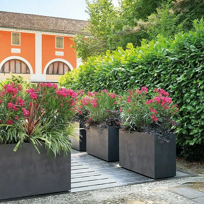 Pflanzkübel eckig Millennium - Kunststoff, 93 l, Ashgrey - Mehrere dunkelgraue rechteckige Pflanzkübel mit leuchtend pinken Blüten und grünem Laub, im Außenbereich aufgestellt.