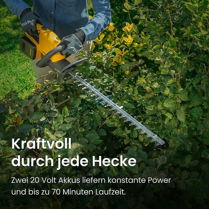Stiga Akku-Heckenschere HT 300E - 2 Akkus, Schnittlänge: 54 cm - Eine Person mit grauen Handschuhen trimmt eine grüne Hecke mit einer gelb-schwarzen STIGA Heckenschere.