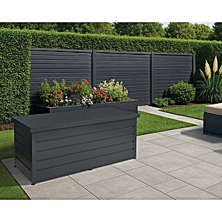 EcoStar Euroline Gartenbox Euroline 1620 (H x B x T: 87,2 x 166 x 72,5 cm, Anthrazit, Stahl)