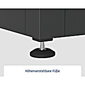 EcoStar Euroline Gartenbox Euroline 1320 (H x B x T: 72,5 x 136 x 67,2 cm, Anthrazit, Stahl) | BAUHAUS