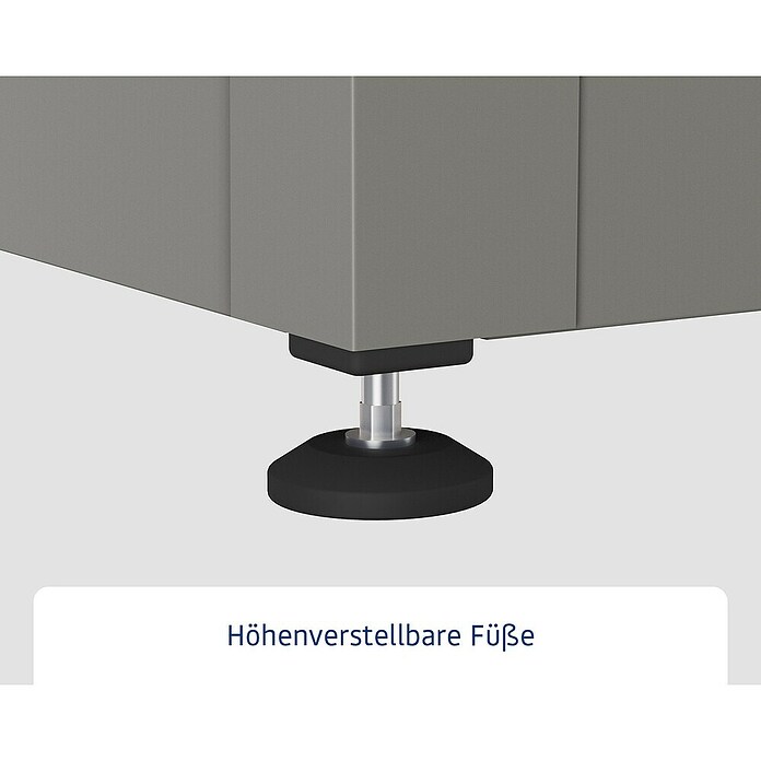 EcoStar Euroline Gartenbox Euroline 1620 (H x B x T: 87,2 x 166 x 72,5 cm, Grau, Stahl) | BAUHAUS