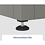 EcoStar Euroline Gartenbox Euroline 1620 (H x B x T: 87,2 x 166 x 72,5 cm, Grau, Stahl) | BAUHAUS