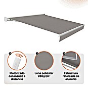 SmartSun Toldo con motor WiFi Vivant (Gris, Ancho: 3,95 m, Caída: 3 m) | BAUHAUS