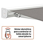 SmartSun Toldo con motor WiFi Vivant (Gris, Ancho: 3,95 m, Caída: 3 m) | BAUHAUS