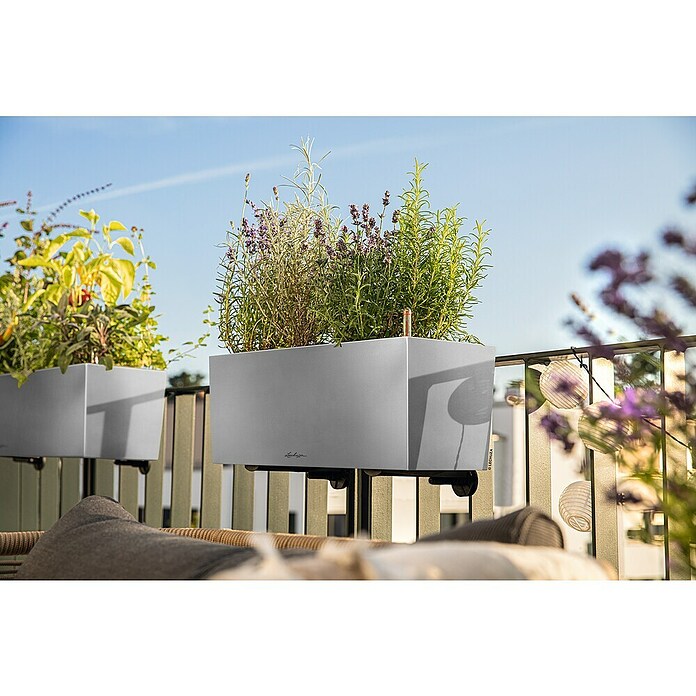 Lechuza Balkonkasten Balconera Steel (Max. Außenlänge: 50 cm, Perlgrau, Edelstahl) | BAUHAUS