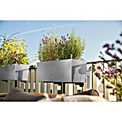 Lechuza Balkonkasten Balconera Steel (Max. Außenlänge: 50 cm, Perlgrau, Edelstahl) | BAUHAUS