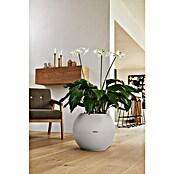 Lechuza Pflanztopf Puro Color 50 (Außenmaß (Ø x H): 49 x 41 cm, Kunststoff, Sandbraun, Matt) | BAUHAUS