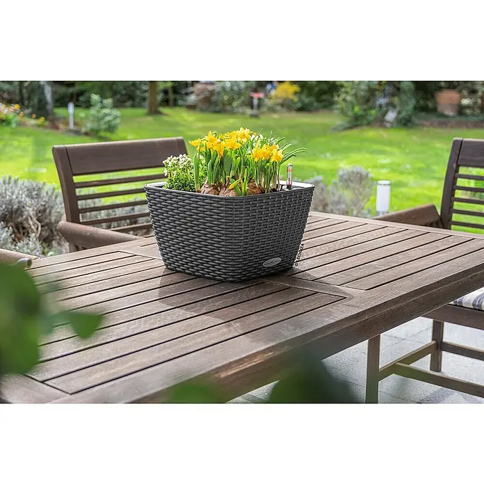 Lechuza Cottage Pflanzschale eckig Bacino - Außenmaß (L x B x H): 30 x 30 x 18 cm, Kunststoff, Granit - Dunkelgrauer geflochtener Pflanzkasten mit gelben Narzissen und weißen Blumen, mit Wasserstandsanzeiger, auf einem Holztisch.