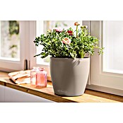 Lechuza Classico Pflanztopf Color (Außenmaß (Ø x H): 21,5 x 20,5 cm, Kunststoff, Sandbraun) | BAUHAUS