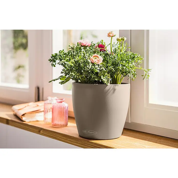 Lechuza Classico Pflanztopf Color - Außenmaß (Ø x H): 21,5 x 20,5 cm, Kunststoff, Sandbraun - Taupefarbener Lechuza Pflanztopf mit rosafarbener Blühpflanze auf einer Holzfensterbank.