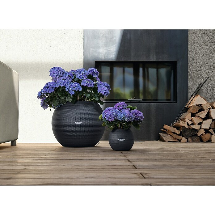 Lechuza Pflanztopf Puro Color 50 (Außenmaß (Ø x H): 49 x 41 cm, Kunststoff, Grau, Matt) | BAUHAUS