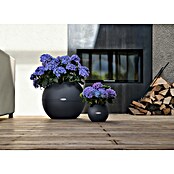 Lechuza Pflanztopf Puro Color 50 (Außenmaß (Ø x H): 49 x 41 cm, Kunststoff, Grau, Matt) | BAUHAUS