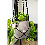 Lechuza Pflanztopf Puro Color 20 (Außenmaß (Ø x H): 20 x 16 cm, Kunststoff, Sandbraun, Matt) | BAUHAUS