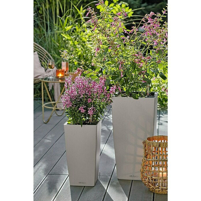 Lechuza Color Pflanzsäule eckig Cubico (Außenmaß (L x B x H): 30 x 30 x 56 cm, Kunststoff, Sandbraun) | BAUHAUS