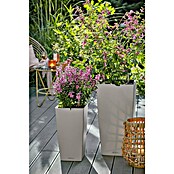 Lechuza Color Pflanzsäule eckig Cubico (Außenmaß (L x B x H): 30 x 30 x 56 cm, Kunststoff, Sandbraun) | BAUHAUS