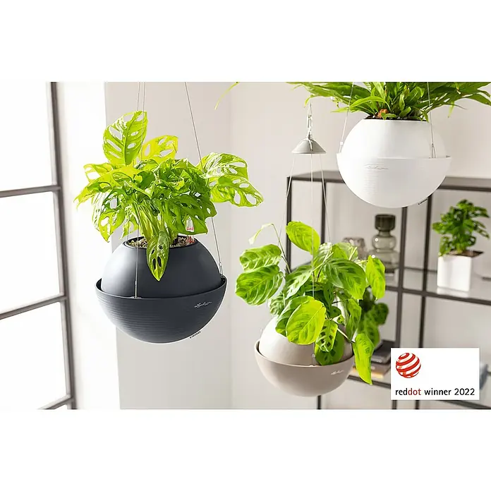 Lechuza Color Blumenampel Bola - Ø x H: 32 x 25 cm, Kunststoff, Sandbraun - Drei Lechuza kugelförmige Hängegefäße in Dunkelgrau, Beige und Weiß, mit Bewässerungssystem, gefüllt mit verschiedenen Pflanzen.
