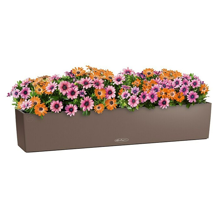 Lechuza Color Balkonkasten Balconera (Max. Außenlänge: 100 cm, Muskat) | BAUHAUS