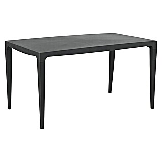 Mesa de jardín Master (L x An x Al: 140 x 80 x 75 cm, Polipropileno, Rectangular, Antracita)