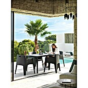 Mesa de jardín Master (L x An x Al: 140 x 80 x 75 cm, Polipropileno, Rectangular, Antracita) | BAUHAUS