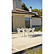 Mesa de jardín Master (L x An x Al: 140 x 80 x 75 cm, Polipropileno, Rectangular, Blanco) | BAUHAUS