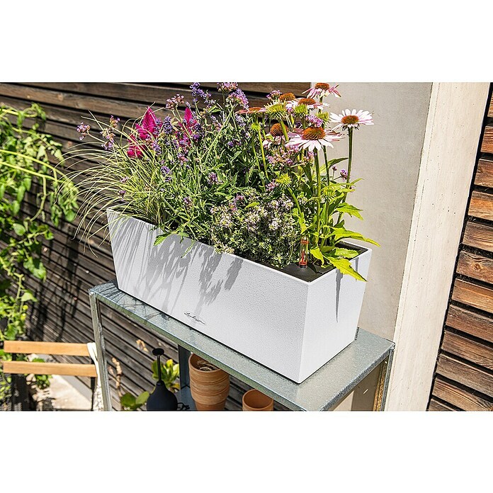 Lechuza Balkonkasten Balconera Stone (Max. Außenlänge: 50 cm, Kunststoff, Quarzweiß) | BAUHAUS