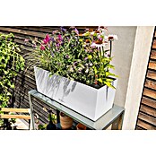Lechuza Balkonkasten Balconera Stone (Max. Außenlänge: 50 cm, Kunststoff, Quarzweiß) | BAUHAUS
