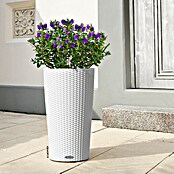 Lechuza Cottage Pflanzsäule rund Cilindro (Ø x H: 32 x 56 cm, Kunststoff, Weiß) | BAUHAUS