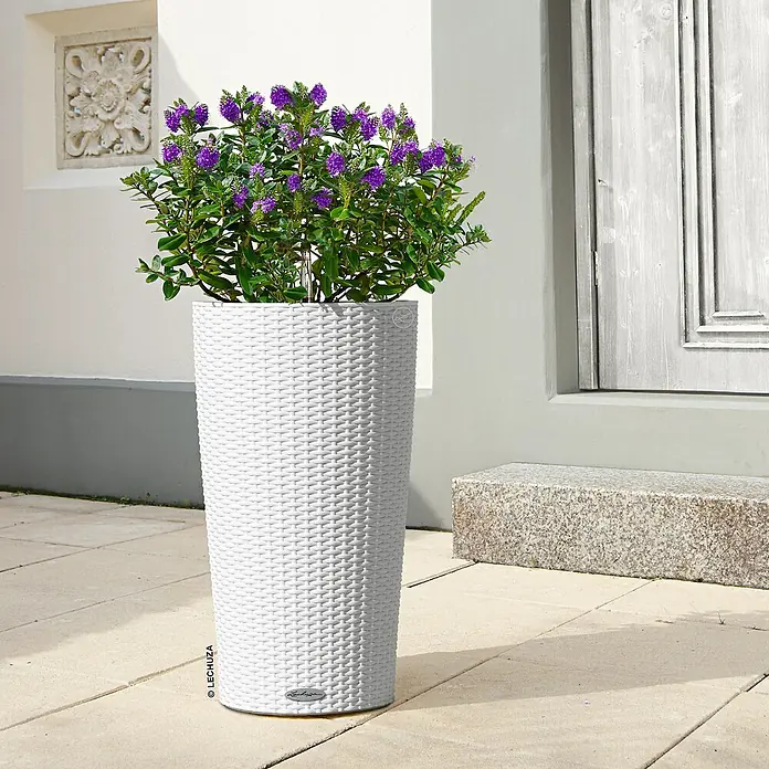 Lechuza Cottage Pflanzsäule rund Cilindro - Außenmaß (Ø x H): 32 x 56 cm, Kunststoff, Weiß - Hohes weißes geflochtenes Pflanzgefäß mit lila Blumen im Freien.